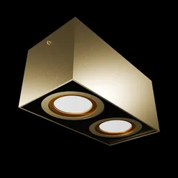 Ceiling Light