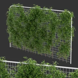 Fence Ivy Simple Plant AQ