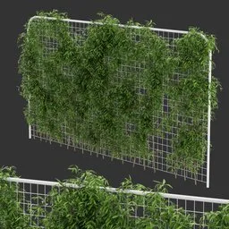 Fence Ivy Simple Plant AQ