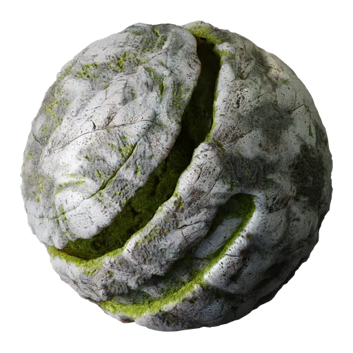 Stone Rock Moss