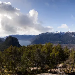 Sunny Cloudy Day Landscape