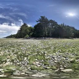 Forest Lake Green Blue Sky