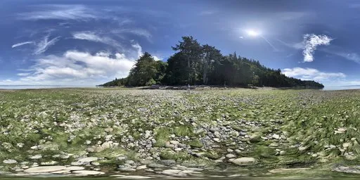 360-degree view of a serene forest lake with clear blue skies, ideal for realistic scene lighting.