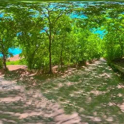 Forest Trail Stone Walls Shaded Mountain