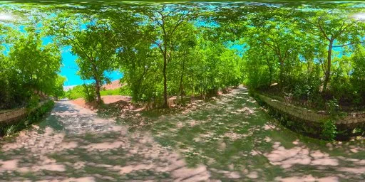 Forest Trail Stone Walls Shaded Mountain