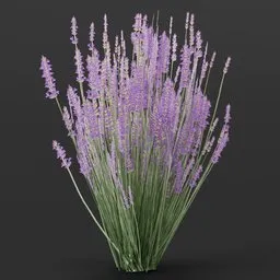 Highly detailed small lavender flower 3D model, ideal for Blender garden and outdoor scenes, with vibrant textures.