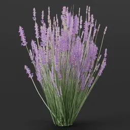 Lavender Flower Small