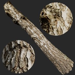 "Realistic Birch Tree Trunk 3D Model for Blender 3D - Perfect for Closeups and Foreground Use, Featuring Detailed Textures and Surface Blemishes by Ladrönn."