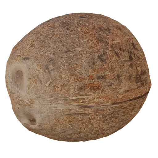 Scanned coconut