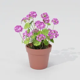 3D model of a pink geranium potted plant, perfect for indoor or outdoor scenes in Blender 3D. This realistic model includes purple flowers, a white surface, and dirt texture for added detail. Rendered in RE engine with soft shadowing.