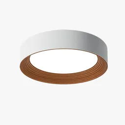 Modern Circular Ceiling Light