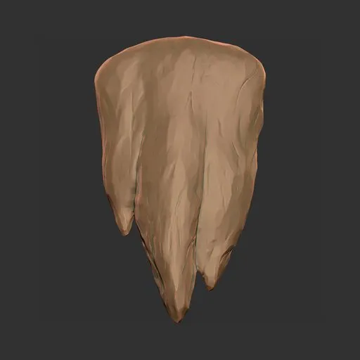 Ragged Spear Scale