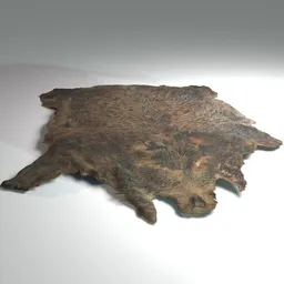 Boar pelt displaced