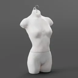 Male Torso Anatomy Study sculpted in Blender