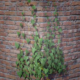 Ivy Creeper Wall Corner 1M 03