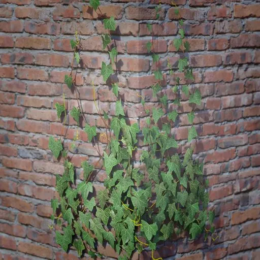 Ivy Creeper Wall Corner 1M 03
