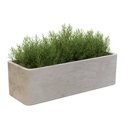 Rosemary Rustic