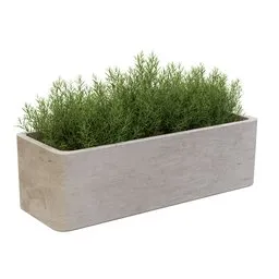Rosemary Rustic