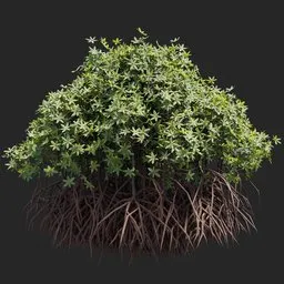 Mangrove Tree + Geometry Nodes + animation