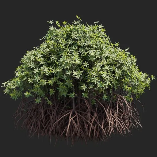Mangrove Tree + Geometry Nodes + animation