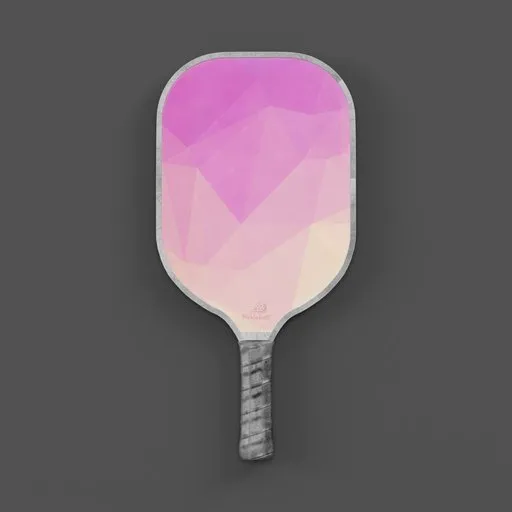 Pickle Ball Paddle