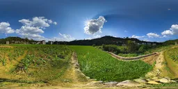 Fields during the day