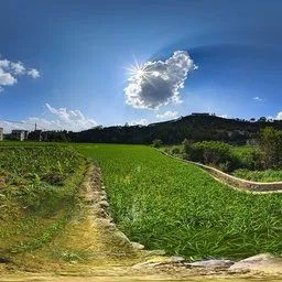 Fields during the day