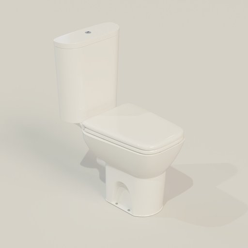 Toilet Seat