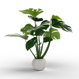 "Medium Monstera 3D model created in Blender 3D with green foliage, sleek round shapes and a brutalist design. Displayed in a white vase on a table, overgrown with aquatic plants and ramps. Perfect for nature-indoor scenes."