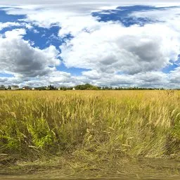 Opacz Field, 20k, unclipped sun