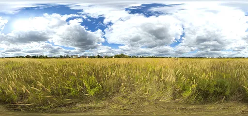 Opacz Field, 20k, unclipped sun