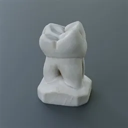 Tooth Sculpture Lower First Molar