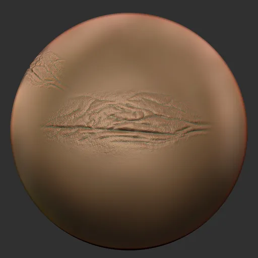 ER_Human Skin(E) 24