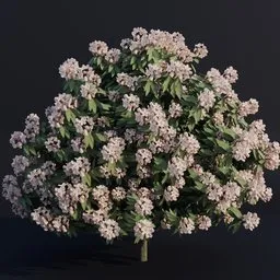 "Rhododendron 3D model created using Blender's Geometry Nodes for realistic nature outdoor scenes. Features white flowers on a black surface, lilac bushes, radial symmetry, and substance designer height map for enhanced texture. Ideal for Blender 3D users looking for high-quality plant models."