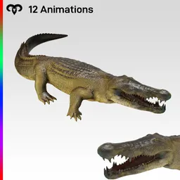 Female Crocodile Animated Rigged
