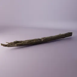 Fallen trunk