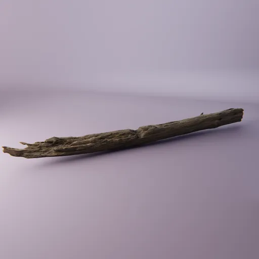 Fallen trunk