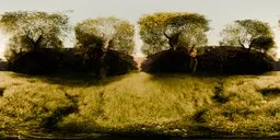 16K high-resolution HDR image of a serene green landscape with trees, perfect for scene lighting.