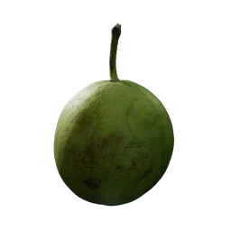 Psidium guajava