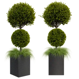 Realistic Blender 3D model of spherical topiary plants in square pots, compatible with cycles render, in centimeter scale.