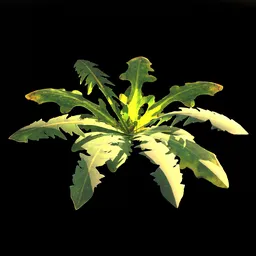 Highly detailed dandelion leaf rosette, 3D model designed for Blender, perfect for digital nature scenes.