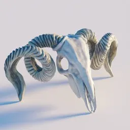 Realistic 3D modeled goat skull with detailed horns for digital sculpting and rendering in Blender.