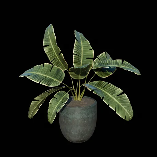 Tree indoor