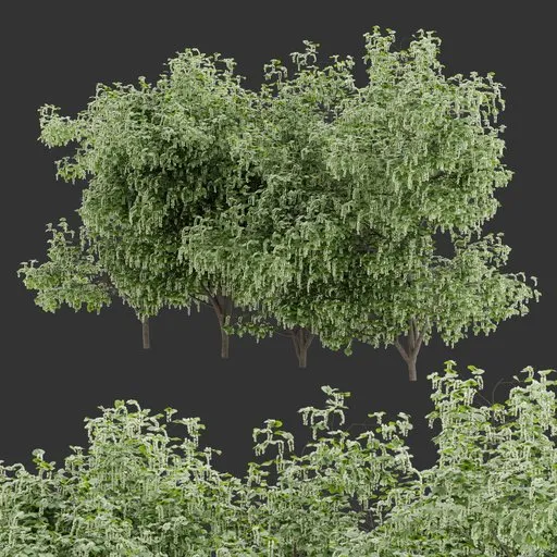 Flowering Bush Plant Collection