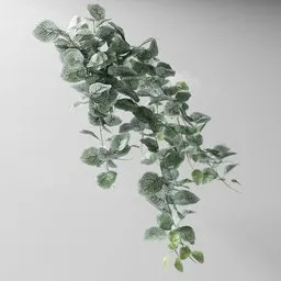 "Highly detailed 3D model of an artificial Fitonia white tendril plant for indoor nature scenes in Blender 3D. Vase included, with twisting leaves and vines on display. Created with the Bagapia addon using Geometry nodes for easy shape modification."