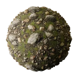 Meadow with grass and Rocks