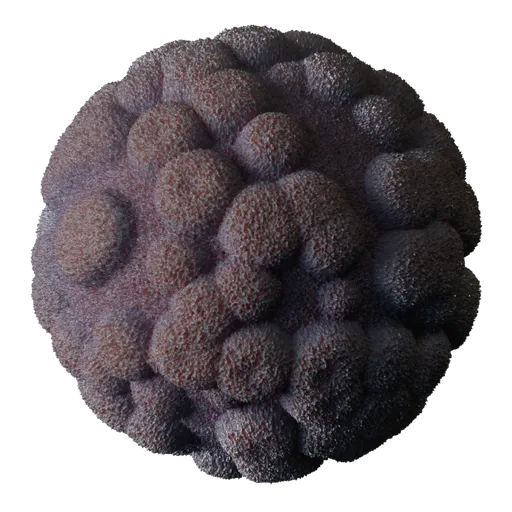 Bumpy Coral Reef
