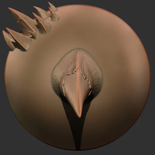 ER_Dragon Brush 349