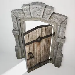 Castle Door