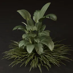 SJ-Tropical Alpha Leaf Bush